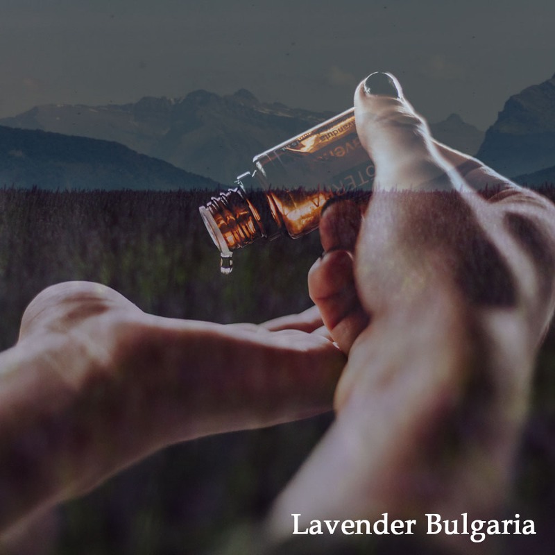 라벤더 불가리안 /에센셜 오일 - 불가리아